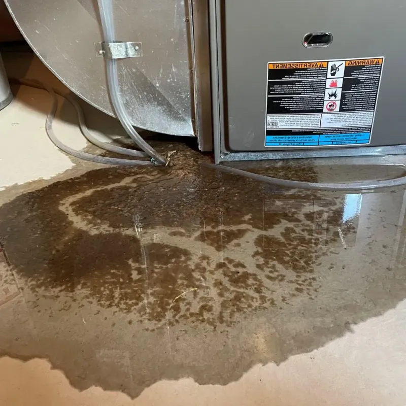 Pipe Burst and Leak Restoration in Y, AK