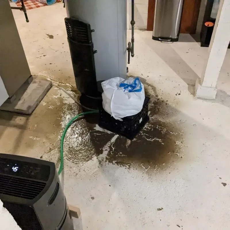 Sewage Backup Cleanup Service in Y, AK